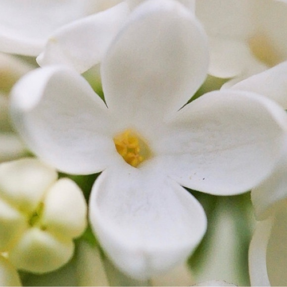 Meet your Posher, IMMA - Picture 1 of 1